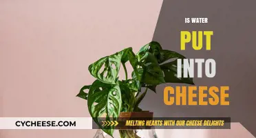 How Water Affects Cheese Quality