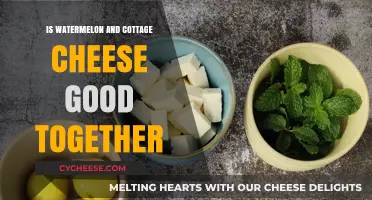 Watermelon and Cottage Cheese: A Surprising Pairing Worth Trying?