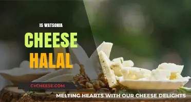 Is Watsonia Cheese Halal? A Comprehensive Guide for Muslim Consumers