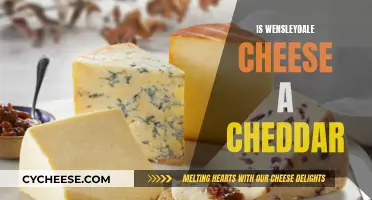 Wensleydale vs. Cheddar: Unraveling the Cheesy Mystery