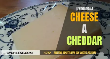 Wensleydale Cheese: Cheddar's Unique Cousin?