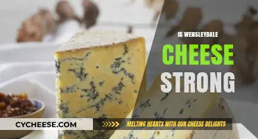 Is Wensleydale Cheese Strong? Exploring Its Flavor and Intensity