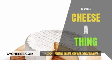 Is Whale Cheese Real? Unraveling the Myth and Facts