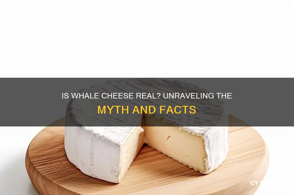 is whale cheese a thing