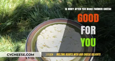 Whey from Farmer Cheese: Nutritional Benefits and Healthy Uses Explained