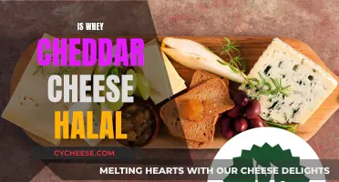 Is Whey Cheddar Cheese Halal? Uncovering the Truth