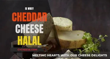 Whey Cheddar Cheese: Halal or Haram?