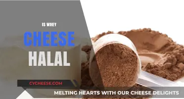 Is Whey Cheese Halal? Exploring Ingredients and Certification
