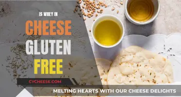 Cheese and Gluten: Is Whey Gluten-Free?