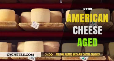 Is White American Cheese Aged? Unraveling the Aging Mystery