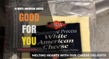 Is White American Cheese Healthy? Nutrition Facts and Benefits Explained