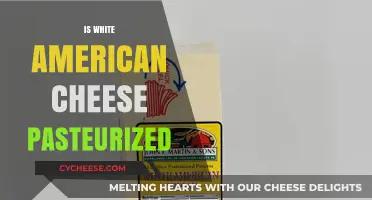 Is White American Cheese Pasteurized? Uncovering the Truth About Safety