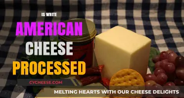 Is White American Cheese Processed? Uncovering the Truth Behind the Slice