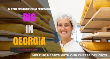 Georgia's Role in White American Cheese Production: A Big Business?