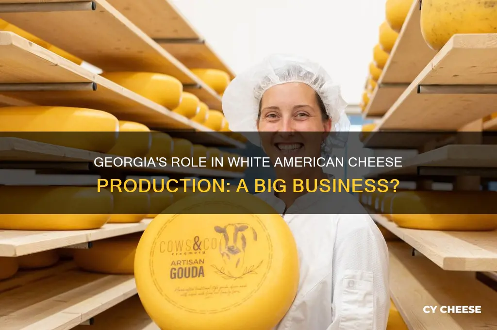 is white american cheese production big in georgia