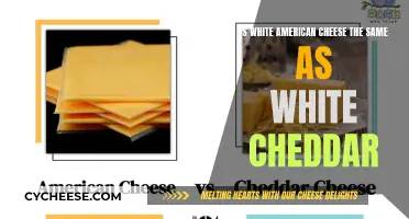 White American vs. White Cheddar: Unraveling the Cheese Conundrum