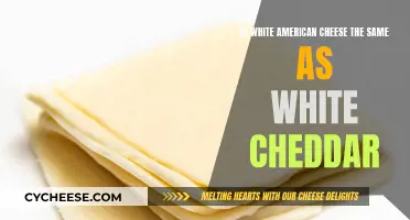 American White Cheese: Is It Cheddar or Not?