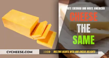 White Cheddar vs. White American: Unraveling the Cheese Mystery