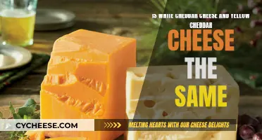 Unraveling the Mystery: Are White and Yellow Cheddar Cheeses Identical?