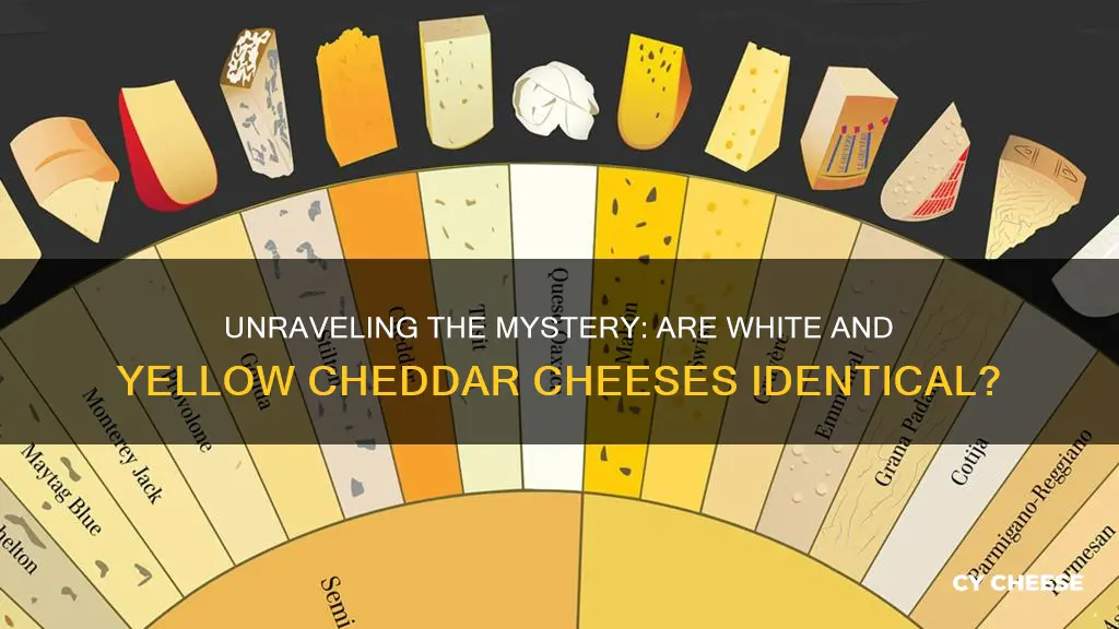 is white cheddar cheese and yellow cheddar cheese the same