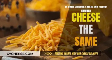 Cheddar Uncovered: White and Yellow Explained