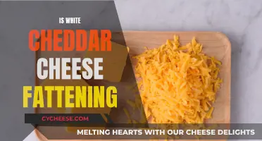 White Cheddar Cheese: Uncover the Fattening Truth