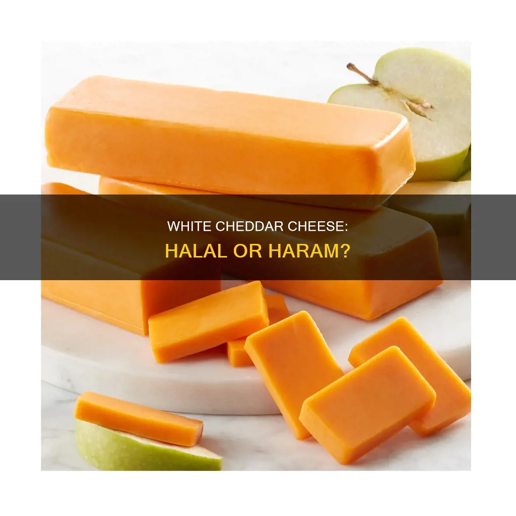 is white cheddar cheese halal