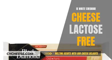 White Cheddar Cheese: Lactose-Free or Not? Unraveling the Mystery