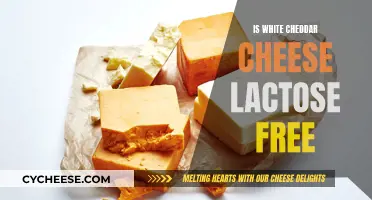 White Cheddar Cheese and Lactose: What's the Deal?