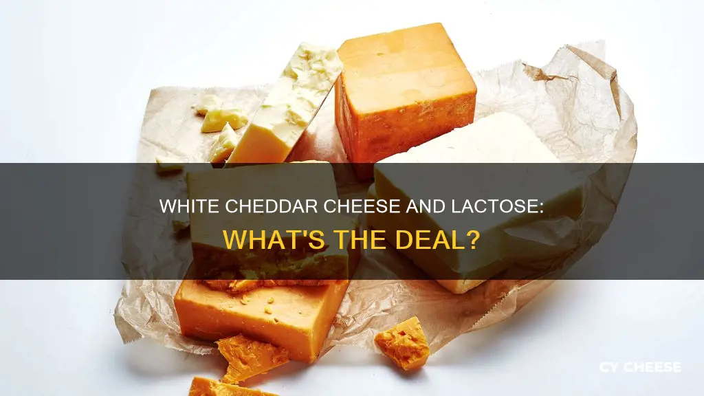 is white cheddar cheese lactose free