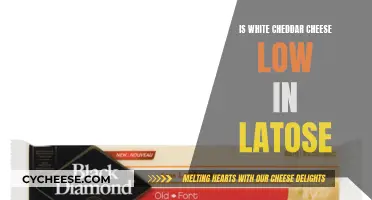 White Cheddar Cheese: Lactose Content and Sensitivity