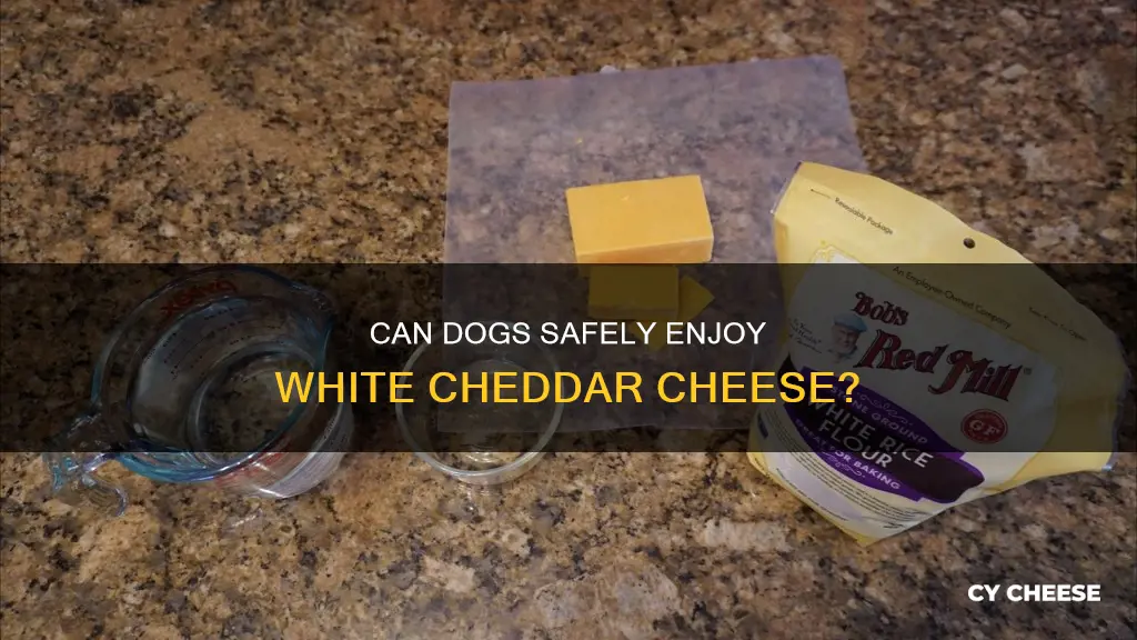 is white cheddar cheese ok for dogs