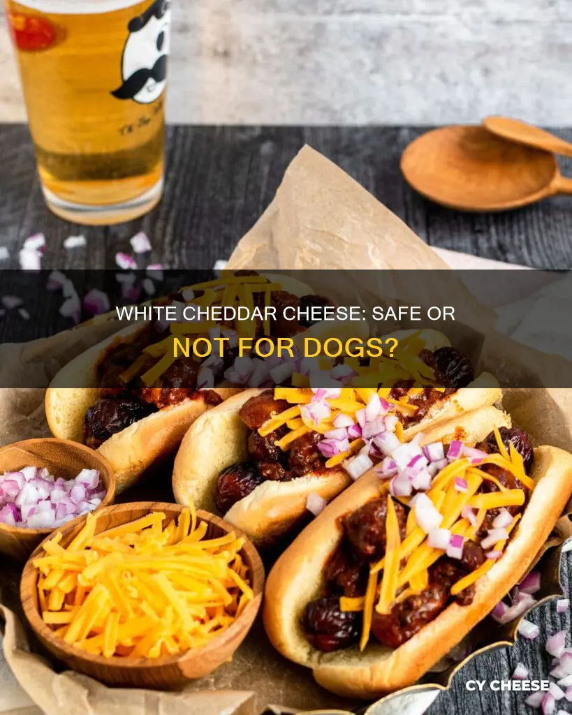 is white cheddar cheese ok for dogs