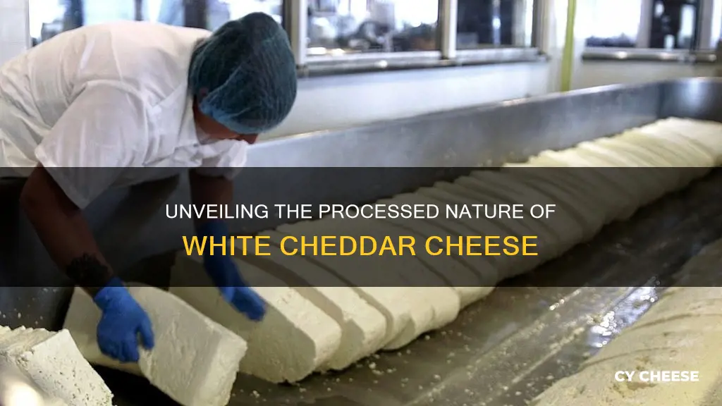 is white cheddar cheese processed