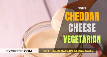 Is White Cheddar Vegan? Uncovering the Dairy Dilemma