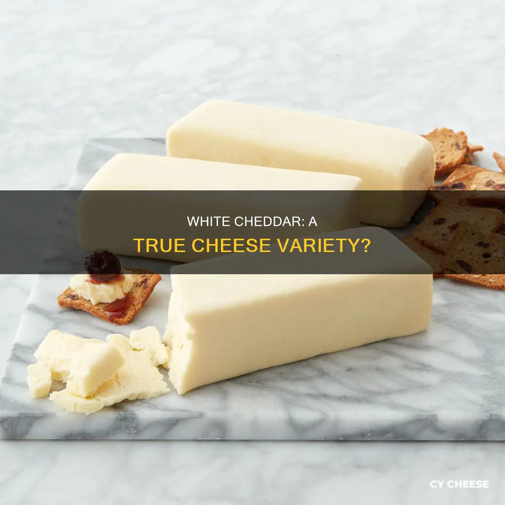 is white cheddar real cheese