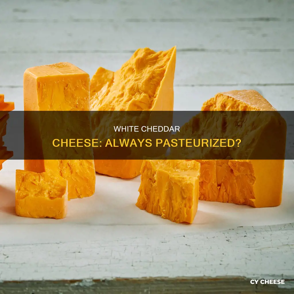 is white chedder cheese pasturized