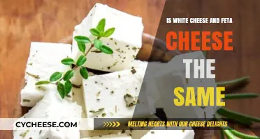 White Cheese vs Feta: What's the Difference?