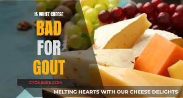 White Cheese and Gout: A Bad Combination?