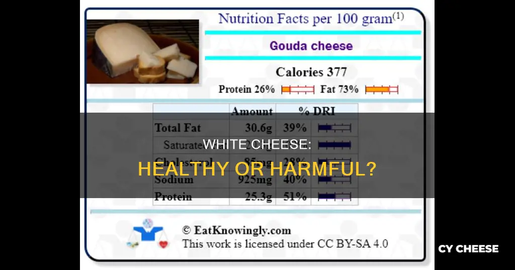 is white cheese bad for you