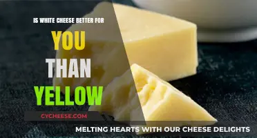 White vs. Yellow Cheese: Which is Healthier for Your Diet?
