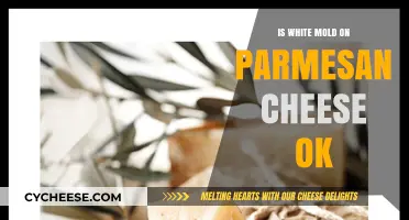 White Mold on Parmesan: Safe or Not?