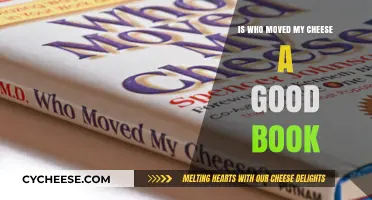 Is 'Who Moved My Cheese?' a Good Book? A Critical Review
