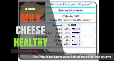 Whole Milk Cheese: Healthy or Unhealthy?