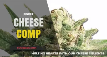 Is Widow Cheese Competitive? Exploring Its Place in Modern Cheese Contests