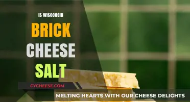 Wisconsin Brick Cheese: Unraveling the Mystery of Its Salty Flavor
