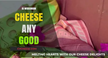Wisconsin Cheese: A Tasty Treasure or Overhyped Dairy Delight?