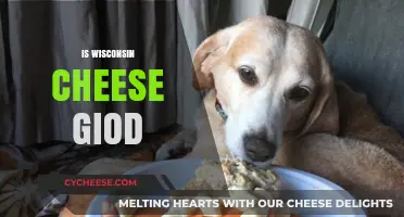 Wisconsin Cheese: A Tasty Treasure or Overrated Dairy Delight?