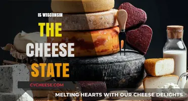 Wisconsin's Cheese Legacy: Unraveling the Dairy State's Tasty Reputation