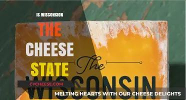 Wisconsin's Cheese Legacy: Unraveling the Dairy State's Iconic Title